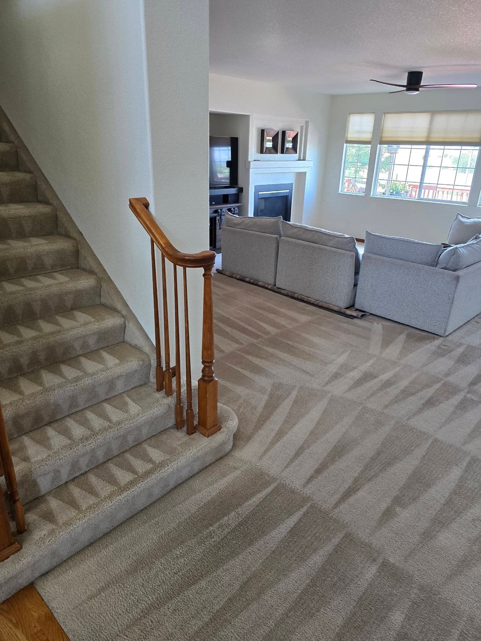 Whole-Home Carpet Care