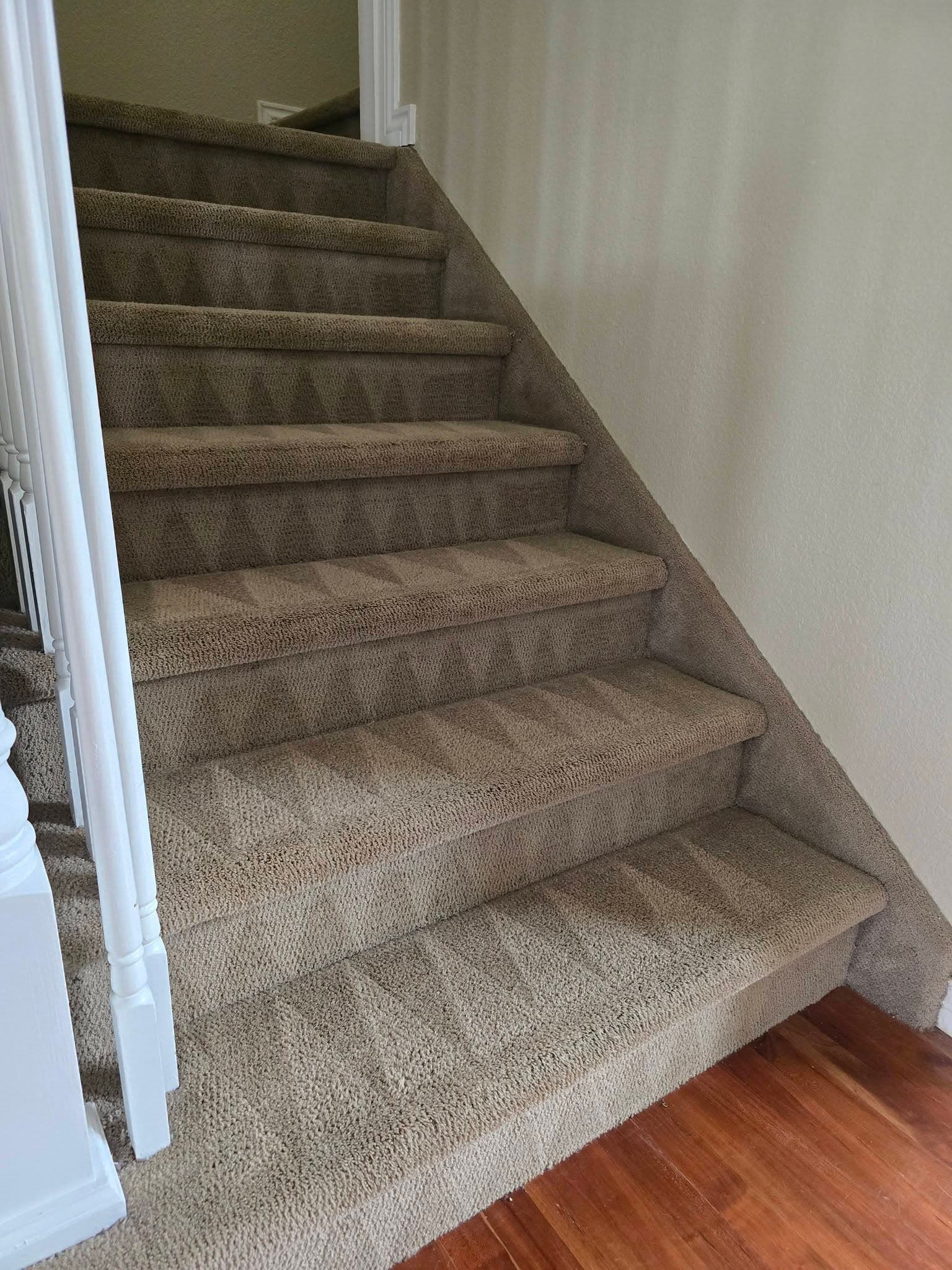 Neutral Runner Revival