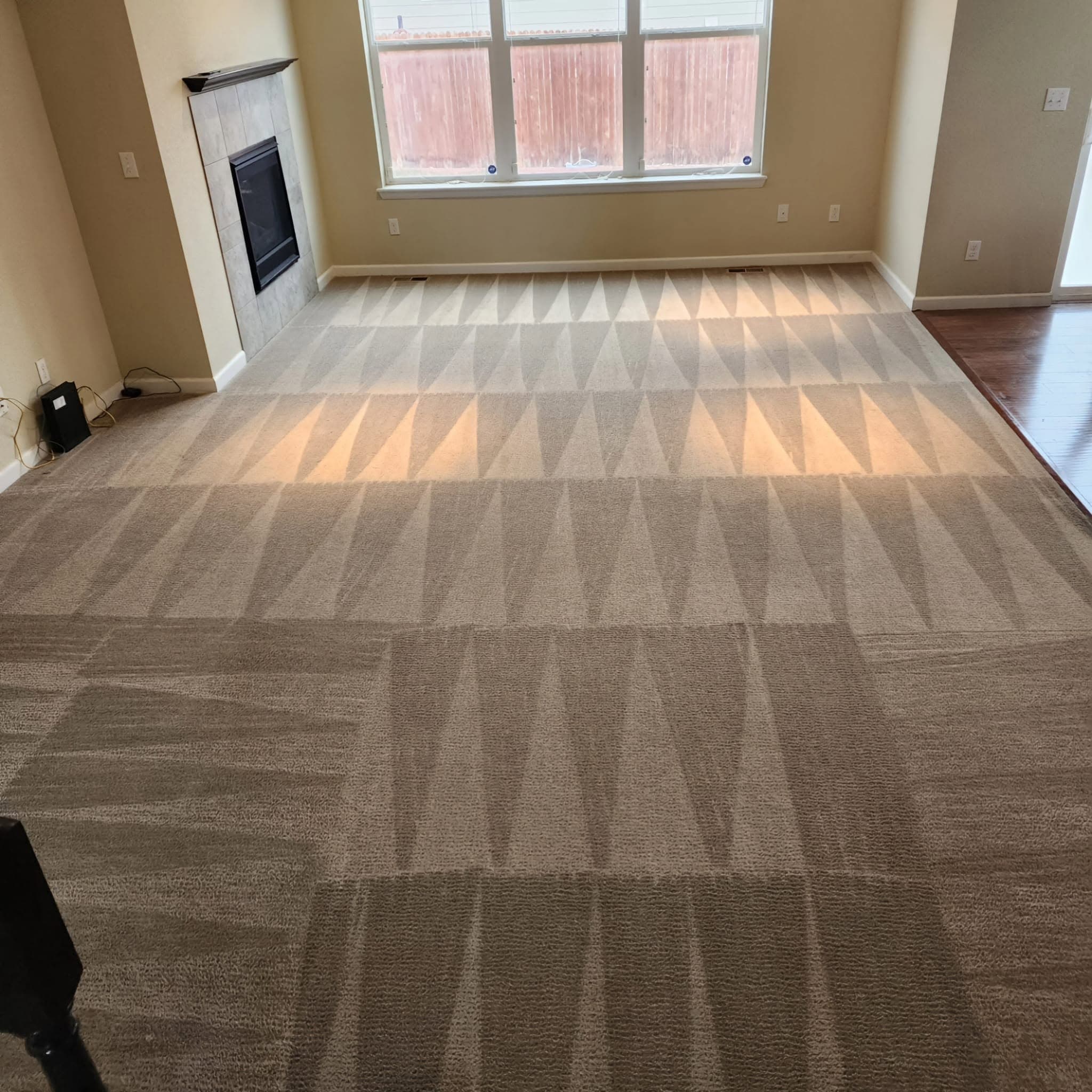 Deep Clean with Pattern Detail