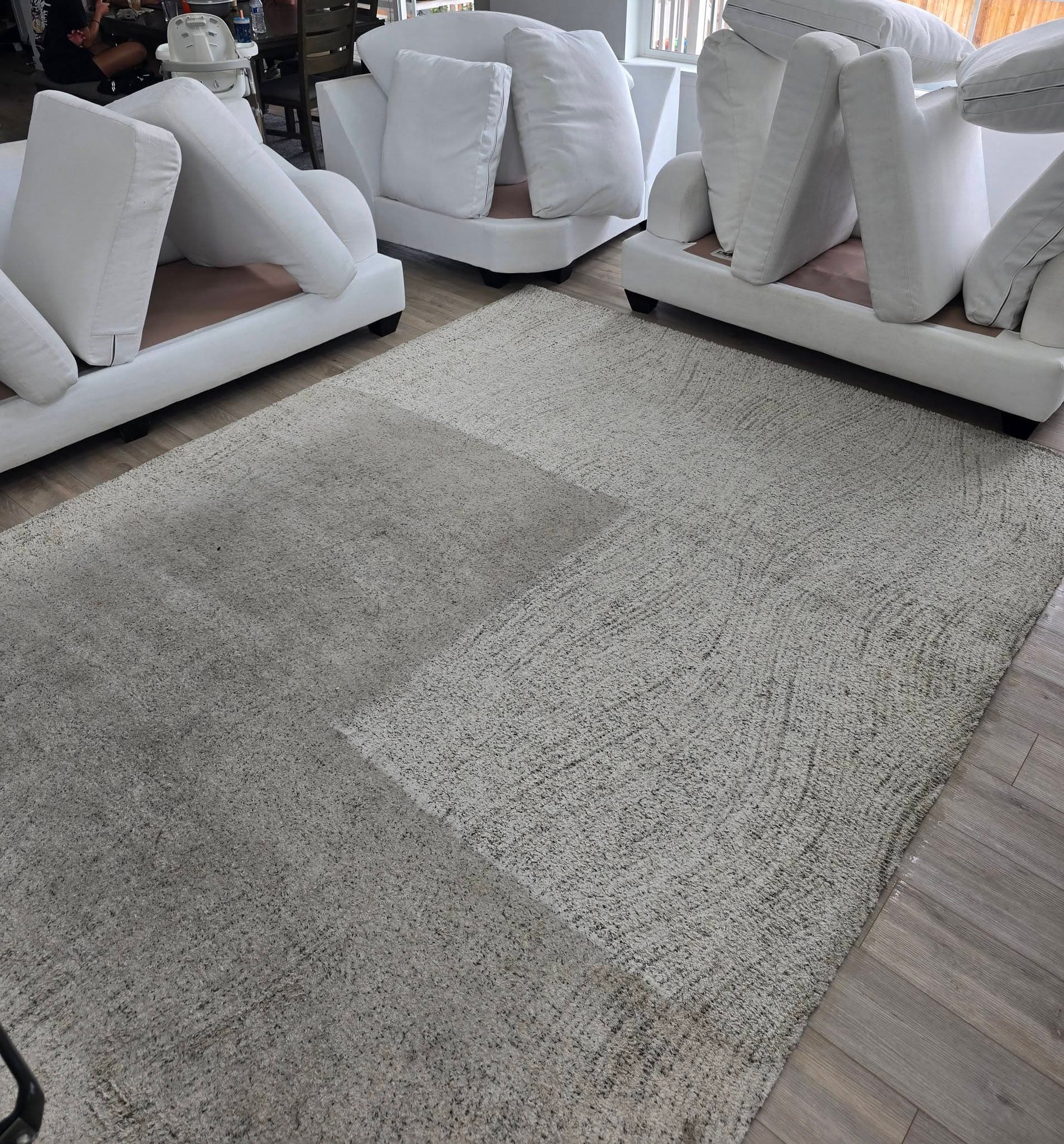 Jordan's team performing professional carpet cleaning