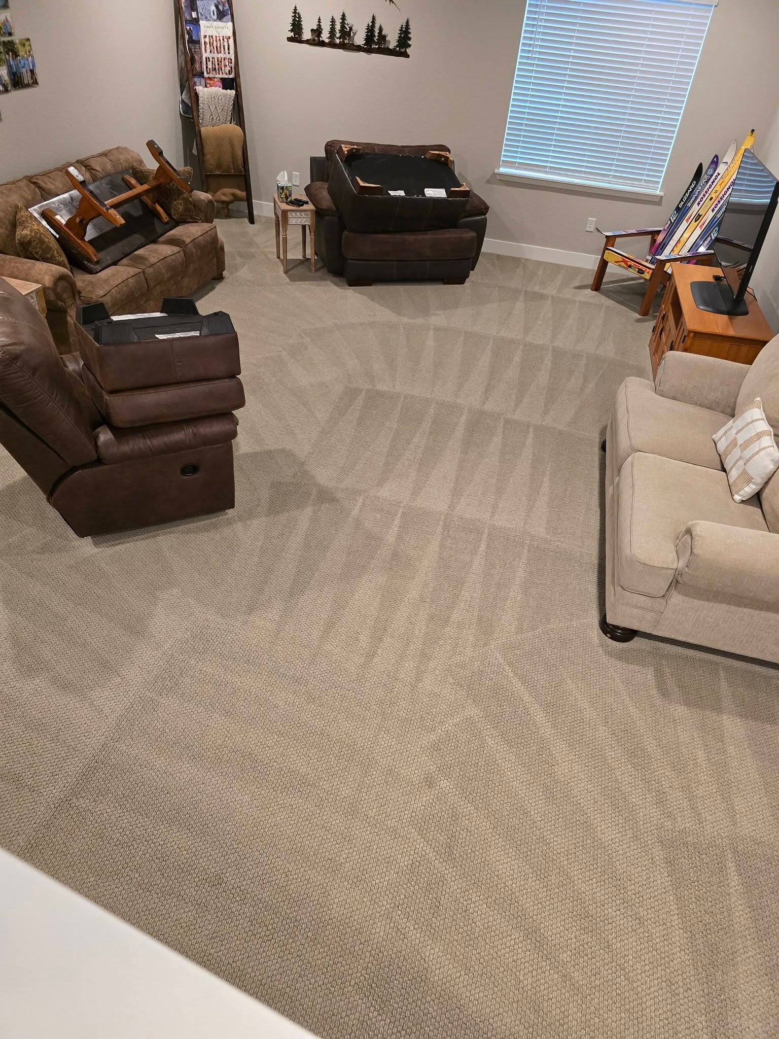 Furniture-Safe Deep Clean